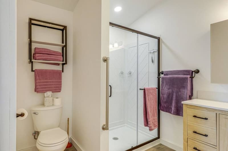 Main-floor suite bathroom with walk-in shower and grab rail