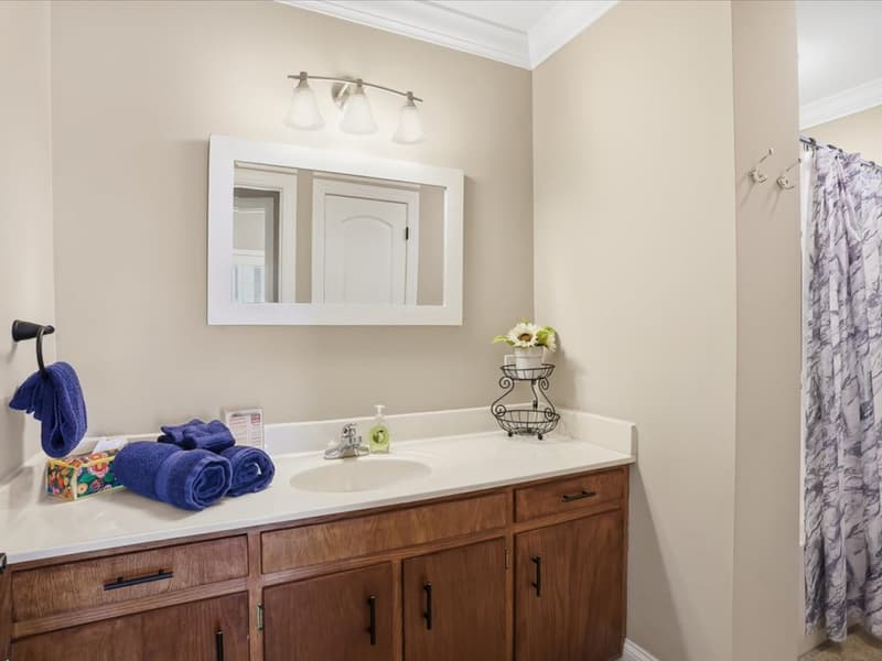 Lower-level shared bathroom