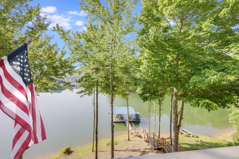 Lake view through the trees from the lawn