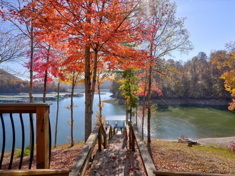 Fall color over the dock stairs