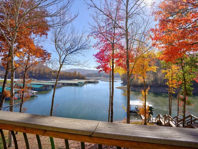 The cove and Norris Landing Marina from the deck